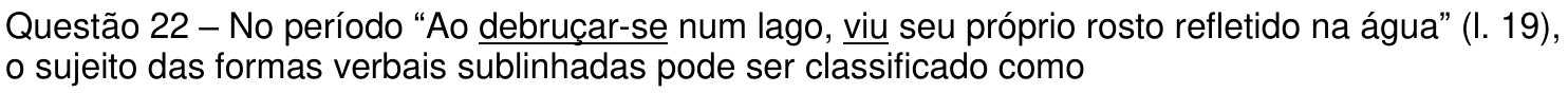 Enunciado da questão 22 como impresso, com as formas verbais “debruçar-se” e “viu” sublinhadas.
