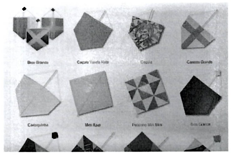 Fotografia de vários modelos de pipa de papel coloridas, de formatos quadrados e pentagonais, com legendas de nomes em letras pequenas, pouco legíveis na reprodução.