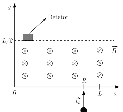 Plano xy com região de campo magnético B entrando no plano (símbolos ⊗) para x > 0 e y > 0; próton com velocidade v⃗₀ vertical para cima entra pelo ponto x = R do eixo x; L marcado no eixo x à direita de R; linha tracejada em y = L/2 e detetor posicionado sobre ela, próximo ao eixo y.