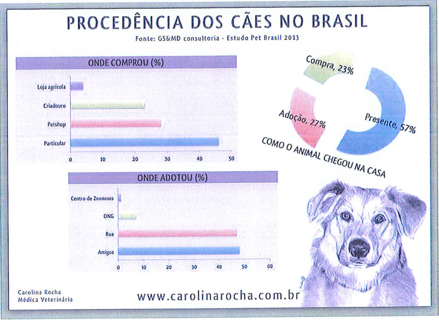 Infográfico “Procedência dos cães no Brasil” (Fonte: GS&MD consultoria – Estudo Pet Brasil 2013). Gráfico de barras “Onde comprou (%)”: Loja agrícola, Criadouro, Petshop, Particular. Gráfico de barras “Onde adotou (%)”: Centro de Zoonoses, ONG, Rua, Amigos. Gráfico circular “Como o animal chegou na casa”: Compra, 23%; Adoção, 27%; Presente, 57%. Carolina Rocha, Médica Veterinária, www.carolinarocha.com.br.