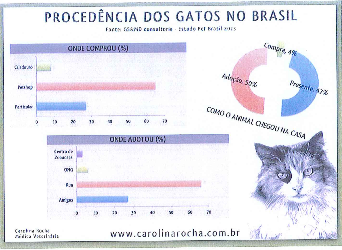 Infográfico “Procedência dos gatos no Brasil” (Fonte: GS&MD consultoria – Estudo Pet Brasil 2013). Gráfico de barras “Onde comprou (%)”: Criadouro, Petshop, Particular. Gráfico de barras “Onde adotou (%)”: Centro de Zoonoses, ONG, Rua, Amigos. Gráfico circular “Como o animal chegou na casa”: Compra, 4%; Adoção, 50%; Presente, 47%. Carolina Rocha, Médica Veterinária, www.carolinarocha.com.br.