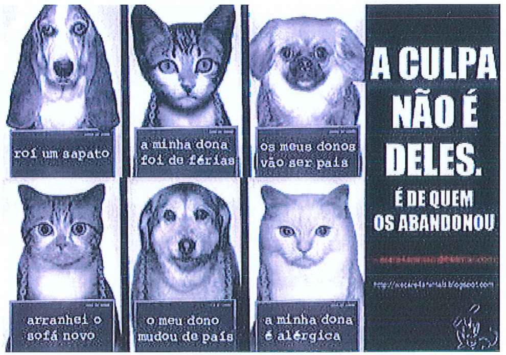 Campanha publicitária em estilo de foto policial: três cães e três gatos com placas no pescoço com os dizeres “roí um sapato”, “a minha dona foi de férias”, “os meus donos vão ser pais”, “arranhei o sofá novo”, “o meu dono mudou de país”, “a minha dona é alérgica”; ao lado, “A culpa não é deles. É de quem os abandonou”.