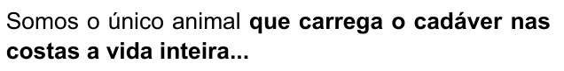 Somos o único animal que carrega o cadáver nas costas a vida inteira... Destacado em negrito: “que carrega o cadáver nas costas a vida inteira...”.