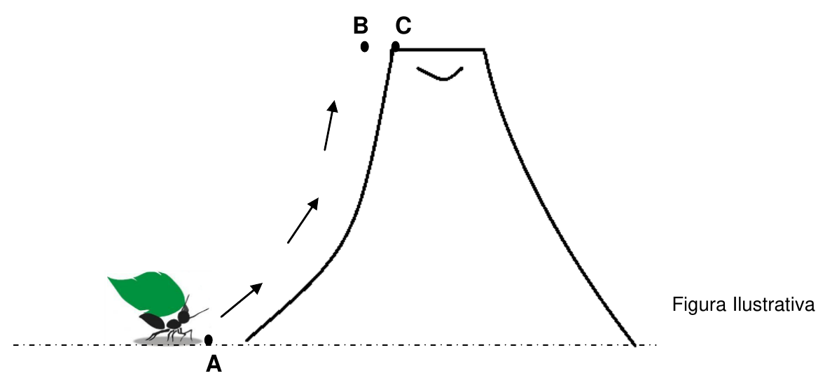 Figura ilustrativa de um formigueiro em forma de monte: a formiga carregando uma folha está no ponto A, na base; setas indicam a subida pela encosta até o ponto B; o ponto C fica no topo plano, logo após B.