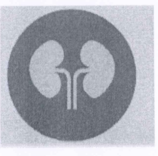 Ícone circular com a silhueta de dois rins e as vias urinárias.