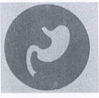 Ícone circular com a silhueta de um estômago.