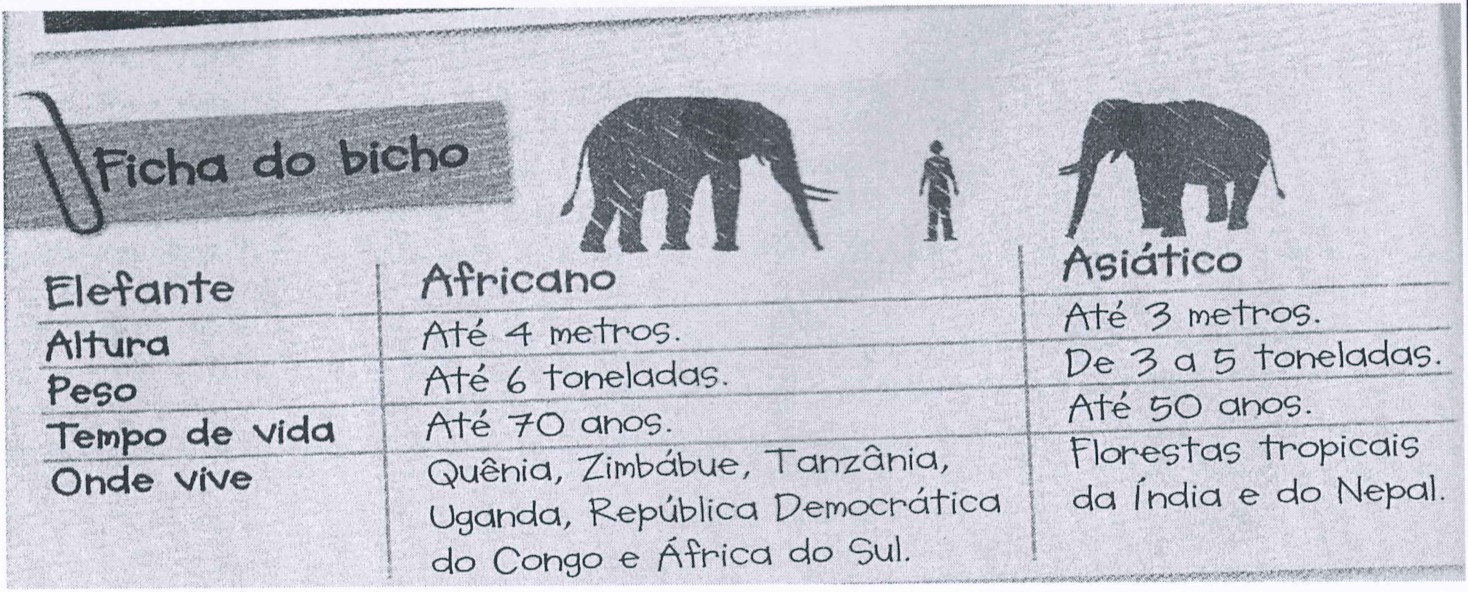 “Ficha do bicho” comparando elefantes. Africano: altura até 4 metros; peso até 6 toneladas; tempo de vida até 70 anos; vive em Quênia, Zimbábue, Tanzânia, Uganda, República Democrática do Congo e África do Sul. Asiático: altura até 3 metros; peso de 3 a 5 toneladas; tempo de vida até 50 anos; vive nas florestas tropicais da Índia e do Nepal.