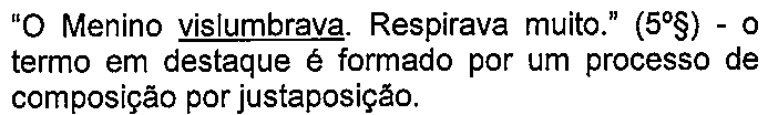 Alternativa A: “O Menino vislumbrava. Respirava muito.” (5º§) - o termo em destaque é formado por um processo de composição por justaposição. — termo sublinhado: “vislumbrava”.