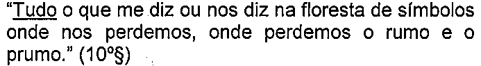 Alternativa D: “Tudo o que me diz ou nos diz na floresta de símbolos onde nos perdemos, onde perdemos o rumo e o prumo.” (10º§) — termo sublinhado: “Tudo”.