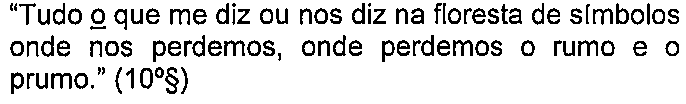 Alternativa E: “Tudo o que me diz ou nos diz na floresta de símbolos onde nos perdemos, onde perdemos o rumo e o prumo.” (10º§) — termo sublinhado: “o” (em “Tudo o que”).