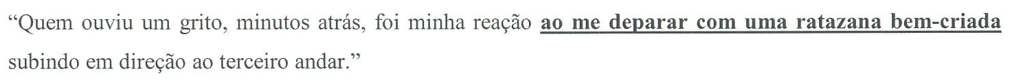 Trecho: “Quem ouviu um grito, minutos atrás, foi minha reação ao me deparar com uma ratazana bem-criada subindo em direção ao terceiro andar.” A parte “ao me deparar com uma ratazana bem-criada” está em negrito e sublinhada.
