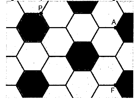 Piso de ladrilhos hexagonais regulares, alternando hexágonos pretos e brancos, com o ponto P em um vértice na parte superior esquerda, o ponto A em um vértice à direita e o ponto F em um vértice na parte inferior direita.