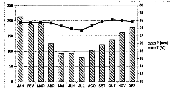 Climograma com barras de precipitação mensal (P, mm, eixo esquerdo de 0 a 250) e linha de temperatura média (T, °C, eixo direito de 10 a 30), de janeiro a dezembro.