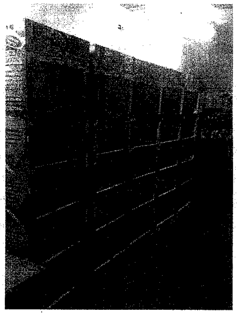 Fotografia escura, em preto e branco, de estantes de biblioteca vistas em perspectiva.