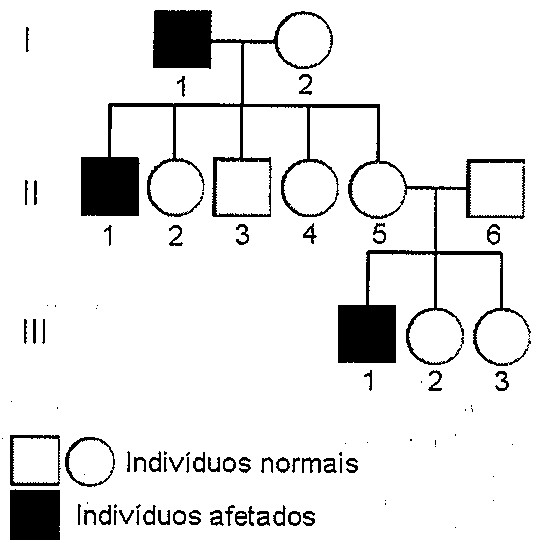 Heredograma com três gerações. Geração I: 1, homem afetado, casado com 2, mulher normal. Geração II, filhos do casal: 1, homem afetado; 2, mulher normal; 3, homem normal; 4, mulher normal; 5, mulher normal, casada com 6, homem normal. Geração III, filhos de II.5 e II.6: 1, homem afetado; 2 e 3, mulheres normais. Legenda: quadrado e círculo brancos, indivíduos normais; preenchidos, indivíduos afetados.