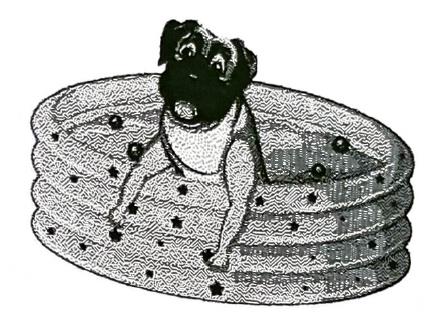 Ilustração de um cachorro dentro de uma piscina inflável redonda.
