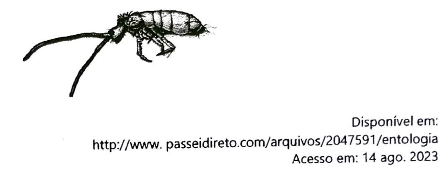 Desenho de um colêmbolo. Crédito na imagem: Disponível em: http://www. passeidireto.com/arquivos/2047591/entologia Acesso em: 14 ago. 2023.