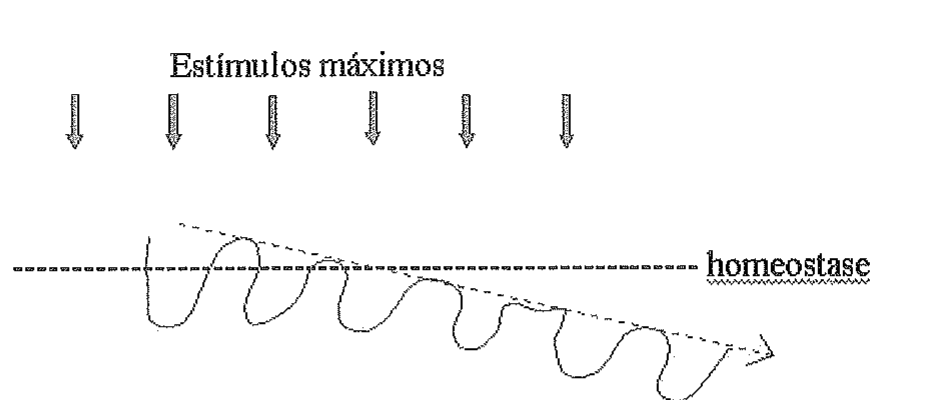 Gráfico com a legenda 'Estímulos máximos' e seis setas verticais apontando para baixo, distribuídas a intervalos regulares. Abaixo, uma linha horizontal tracejada rotulada 'homeostase' e uma curva ondulada que oscila em torno dela; os picos e vales da curva ficam progressivamente mais baixos, acompanhados por uma linha tracejada descendente terminada em seta.
