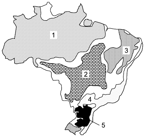 Mapa do Brasil dividido em domínios morfoclimáticos com hachuras diferentes e cinco áreas numeradas: 1 na maior parte da Região Norte (Amazônia); 2 no Brasil central; 3 no interior do Nordeste; 4 em uma faixa no Sul, a leste da área 5; 5 em preto, nos planaltos do Sul. Faixas sem número representam as áreas de transição.