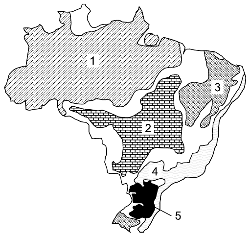 Mapa do Brasil dividido em domínios morfoclimáticos com hachuras diferentes e cinco áreas numeradas: 1 na maior parte da Região Norte (Amazônia); 2 no Brasil central; 3 no interior do Nordeste; 4 em uma faixa no Sul, a leste da área 5; 5 em preto, nos planaltos do Sul. Faixas sem número representam as áreas de transição.