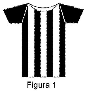 Figura 1: camisa com sete listras verticais alternando preto e branco, com mangas pretas.
