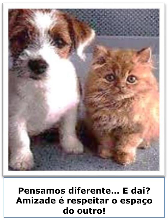 Fotografia de um filhote de cachorro branco com manchas marrons sentado ao lado de um gatinho de pelo alaranjado. Abaixo, em quadro, o texto: “Pensamos diferente... E daí? Amizade é respeitar o espaço do outro!”