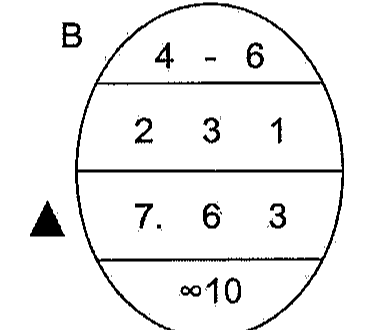 Código oval de carta de gelo com a letra B ao lado e um triângulo preto à esquerda; linhas do oval, de cima para baixo: 4 - 6; 2 3 1; 7. 6 3; ∞10.