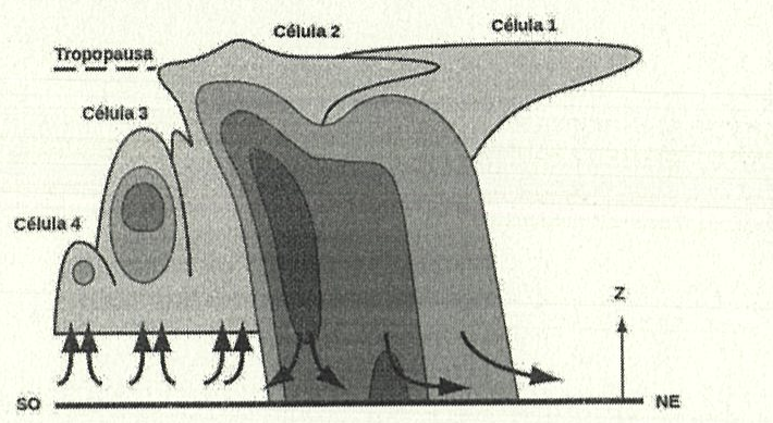 Corte vertical de uma tempestade multicelular entre SO e NE, com as células 1, 2, 3 e 4 identificadas, a tropopausa marcada em tracejado, setas de correntes ascendentes na base à esquerda e setas descendentes à direita. As áreas de precipitação aparecem em sombras média, escura e muito escura.