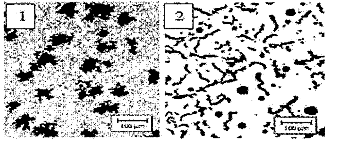 Duas micrografias de ferro fundido identificadas como 1 e 2, cada uma com barra de escala de 100 µm: na figura 1, partículas escuras de grafita em forma de aglomerados irregulares sobre matriz clara; na figura 2, partículas escuras alongadas e curvas, misturadas a algumas partículas arredondadas.