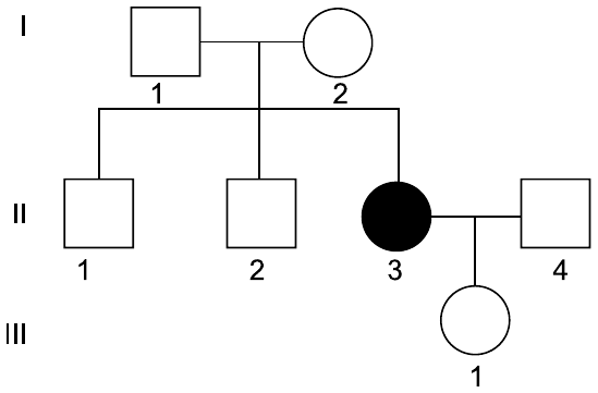 Heredograma com três gerações. Geração I: indivíduo 1 (homem, quadrado branco) casado com indivíduo 2 (mulher, círculo branco). Geração II, filhos do casal: 1 e 2 (homens, quadrados brancos) e 3 (mulher, círculo preto, afetada); a mulher II-3 é casada com o homem II-4 (quadrado branco). Geração III: indivíduo 1 (mulher, círculo branco), filha de II-3 e II-4.