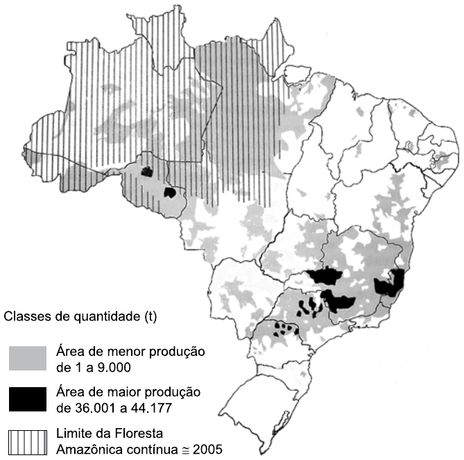 Mapa do Brasil com áreas produtoras de um cultivo agrícola. Legenda “Classes de quantidade (t)”: cinza = área de menor produção, de 1 a 9.000; preto = área de maior produção, de 36.001 a 44.177; hachura vertical = limite da Floresta Amazônica contínua ≅ 2005. As áreas pretas concentram-se em Minas Gerais, Espírito Santo, São Paulo, Paraná e em pequenos trechos de Rondônia.