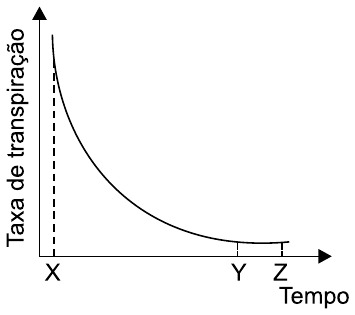 Gráfico com eixo vertical “Taxa de transpiração” e eixo horizontal “Tempo”, com os momentos X, Y e Z marcados. A curva parte de um valor alto no momento X e cai rapidamente, depois de forma cada vez mais lenta, até ficar praticamente constante e baixa entre Y e Z.