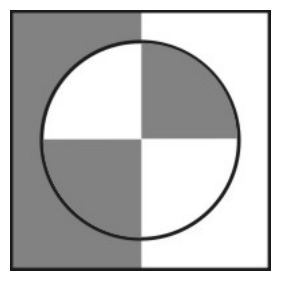 Fotografia com metade esquerda escura; na região circular da lente, quadrantes alternados: superior esquerdo claro, superior direito escuro, inferior esquerdo escuro e inferior direito claro.