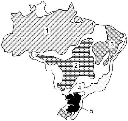 Mapa do Brasil dividido em domínios morfoclimáticos com hachuras diferentes e cinco áreas numeradas: 1 na maior parte da Região Norte (Amazônia); 2 no Brasil central; 3 no interior do Nordeste; 4 em uma faixa no Sul, a leste da área 5; 5 em preto, nos planaltos do Sul. Faixas sem número representam as áreas de transição.
