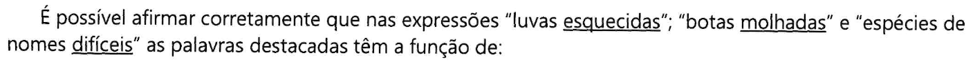 É possível afirmar corretamente que nas expressões “luvas esquecidas”; “botas molhadas” e “espécies de nomes difíceis” as palavras destacadas têm a função de: (As palavras “esquecidas”, “molhadas” e “difíceis” estão sublinhadas.)