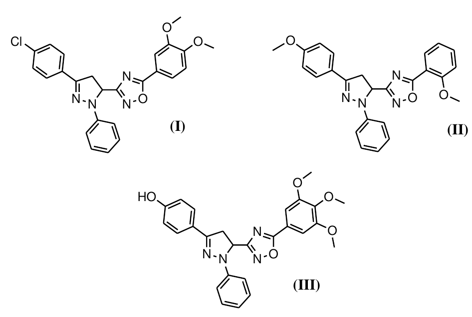 Três estruturas com núcleo pirazolina N-fenil ligado a anel 1,2,4-oxadiazol. (I): 4-clorofenil na pirazolina e 3,4-dimetoxifenil no oxadiazol. (II): 4-metoxifenil na pirazolina e 2-metoxifenil no oxadiazol. (III): 4-hidroxifenil na pirazolina e 3,4,5-trimetoxifenil no oxadiazol.