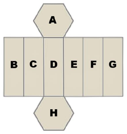 Planificação de um sólido: seis retângulos verticais iguais, lado a lado, nomeados B, C, D, E, F e G; um hexágono A ligado ao lado de cima do retângulo D e um hexágono H ligado ao lado de baixo do retângulo D.