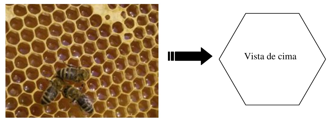 À esquerda, foto de um favo de mel com células hexagonais e abelhas; uma seta aponta para a direita, onde aparece um hexágono com o texto “Vista de cima”.