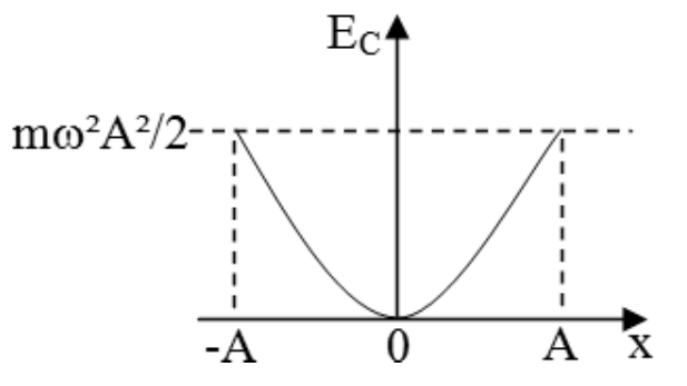 Alternativa c: gráfico Ec × x: parábola com concavidade para cima, nula em x = 0, com valor mω²A²/2 em −A e em A.