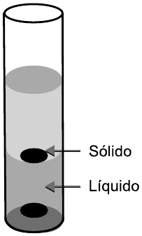 Tubo de ensaio com duas camadas líquidas (a superior mais clara e a inferior mais escura) e dois sólidos escuros: um flutuando na interface entre as camadas e outro no fundo do tubo. Setas indicam “Sólido” (o que está na interface) e “Líquido” (a camada inferior).