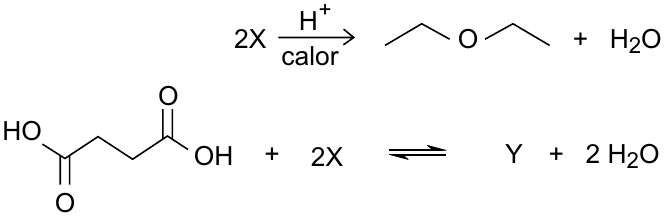 Duas equações. Primeira: 2X, com H⁺ e calor sobre a seta, forma um éter representado em fórmula de linhas (dois grupos etila ligados a um O) + H₂O. Segunda: ácido butanodioico (HO–CO–CH₂–CH₂–CO–OH, em fórmula de linhas) + 2X ⇌ Y + 2 H₂O.