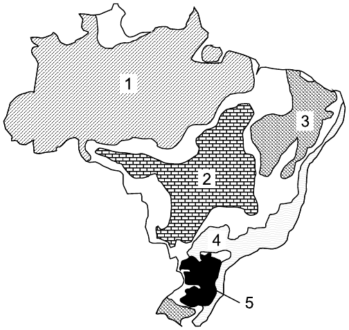 Mapa do Brasil dividido em domínios morfoclimáticos com hachuras diferentes e cinco áreas numeradas: 1 na maior parte da Região Norte (Amazônia); 2 no Brasil central; 3 no interior do Nordeste; 4 em uma faixa no Sul, a leste da área 5; 5 em preto, nos planaltos do Sul. Faixas sem número representam as áreas de transição.
