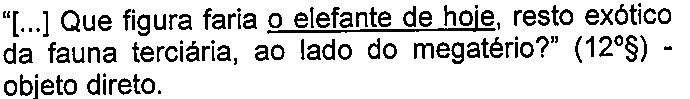 “[...] Que figura faria o elefante de hoje, resto exótico da fauna terciária, ao lado do megatério?” (12º§) - objeto direto. (termo “o elefante de hoje” sublinhado)