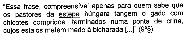 Trecho: “Essa frase, compreensível apenas para quem sabe que os pastores da estepe húngara tangem o gado com chicotes compridos, terminados numa ponta de crina, cujos estalos metem medo à bicharada [...]” (9º§), com a palavra “estepe” sublinhada.