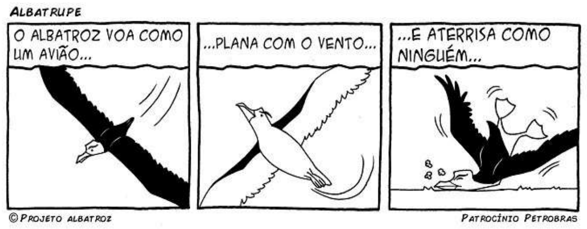 Tirinha “Albatrupe” em três quadrinhos. Quadrinho 1: “O ALBATROZ VOA COMO UM AVIÃO...”, com um albatroz voando de asas abertas. Quadrinho 2: “...PLANA COM O VENTO...”, com o albatroz planando. Quadrinho 3: “...E ATERRISA COMO NINGUÉM...”, com o albatroz caindo desajeitado no chão, de bico para baixo, levantando poeira. Créditos: © Projeto Albatroz; Patrocínio Petrobras.