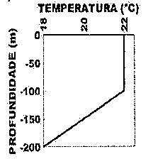 Perfil de temperatura (18 a 22 °C) em função da profundidade (0 a −200 m): constante em 22 °C de 0 a −100 m e decrescendo até 18 °C em −200 m.