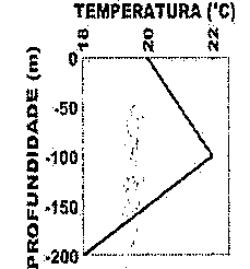 Perfil de temperatura (18 a 22 °C) em função da profundidade (0 a −200 m): aumentando de cerca de 20 °C na superfície até cerca de 22 °C em −100 m e decrescendo até 18 °C em −200 m.