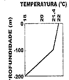 Perfil de temperatura com marcas 18, 20, 21,4 e 22 °C em função da profundidade (0 a −200 m): diminuindo levemente de 22 °C na superfície até cerca de 21,4 °C em −100 m e decrescendo até 18 °C em −200 m.