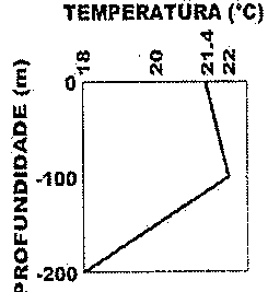 Perfil de temperatura com marcas 18, 20, 21,4 e 22 °C em função da profundidade (0 a −200 m): aumentando de cerca de 21,4 °C na superfície até 22 °C em −100 m e decrescendo até 18 °C em −200 m.