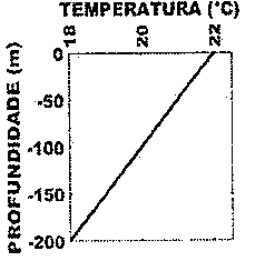 Perfil de temperatura (18 a 22 °C) em função da profundidade (0 a −200 m): decrescendo linearmente de 22 °C na superfície até 18 °C em −200 m.